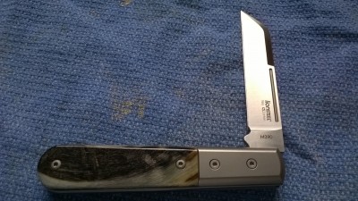 WP_20180622_006.jpg