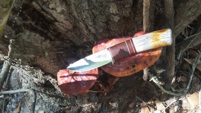20180625_154236.jpg