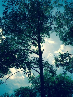 photo (12).JPG