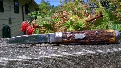 WP_20180702_020.jpg