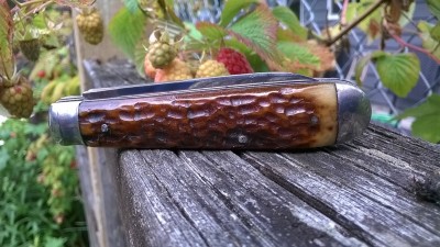 WP_20180702_010.jpg