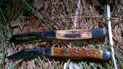 WP_20180706_007.jpg