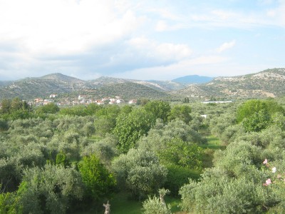 IMG_5594.JPG