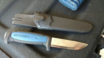 mora find.jpg