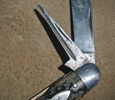 DSC_4902.JPG