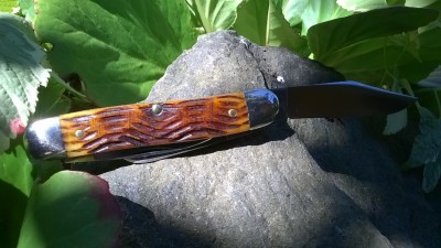 WP_20180712_015.jpg