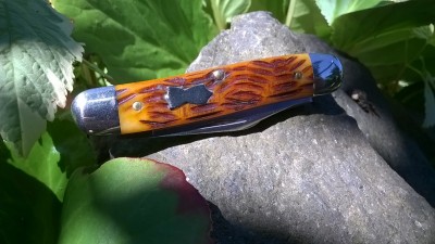 WP_20180712_021.jpg