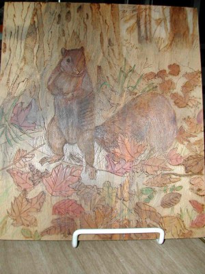 DSCN4557.jpg