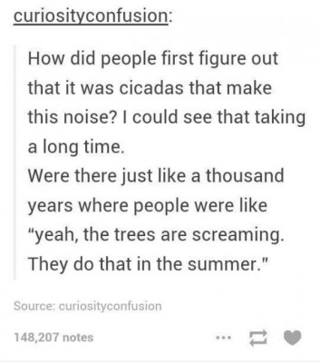 cicada.jpg