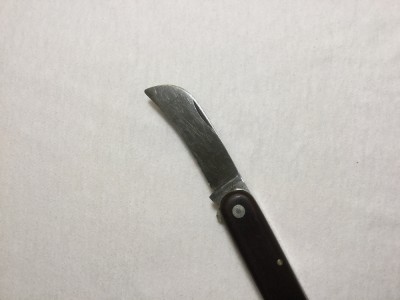 337D8531-1204-44E0-B31B-0BC20A5D05B5.jpeg