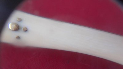 ivory.JPG
