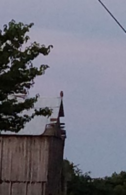20180718_203420.jpg