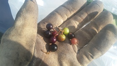 20180721_085854.jpg
