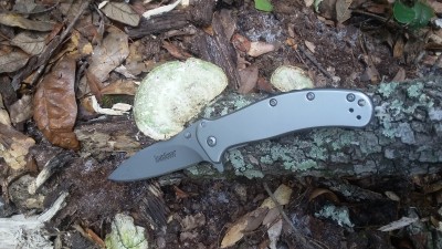 20180722_141347.jpg