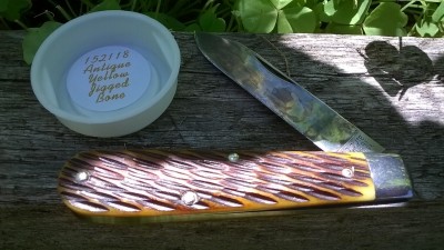 WP_20180723_058.jpg