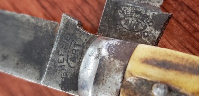 20180724_104659.jpg