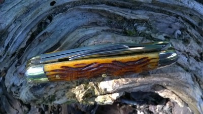 WP_20180724_035.jpg