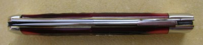 IMGP4705.JPG