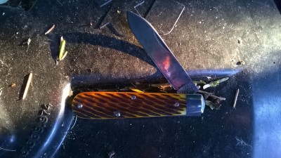WP_20180725_018.jpg