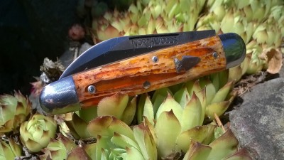 WP_20180723_029.jpg