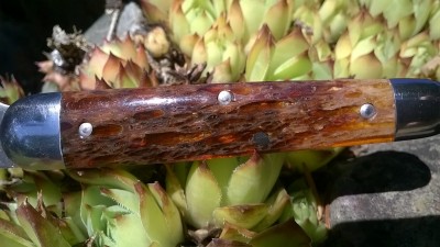 WP_20180723_016.jpg