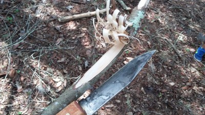 20180727_114705.jpg