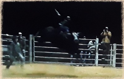ClayBullride1-6-18.JPG
