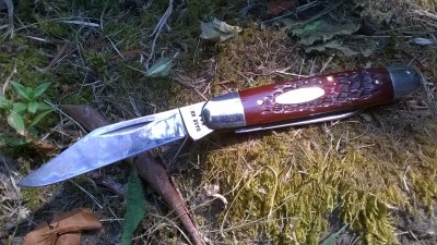 WP_20180730_007.jpg