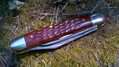 WP_20180730_017.jpg