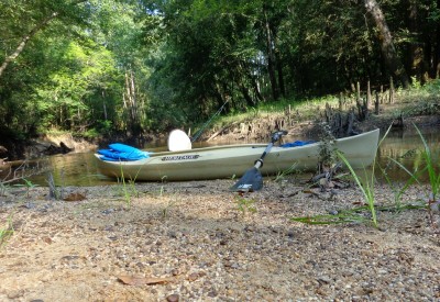kayak.jpg