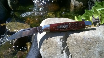 WP_20180801_010.jpg