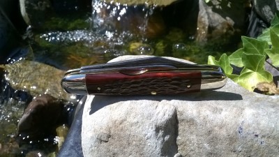 WP_20180801_013.jpg