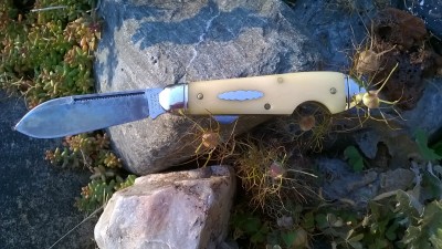 WP_20180806_020.jpg