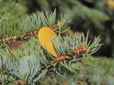 DSCN2559.JPG