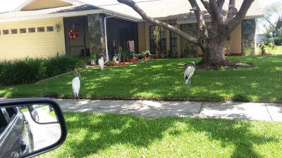 20180713_115639.jpg