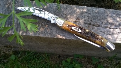WP_20180810_057.jpg