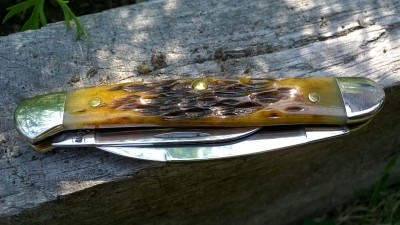 WP_20180810_064.jpg