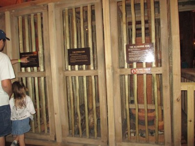 Some of the cages holding animal replicas