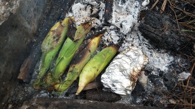 20180810_122128.jpg