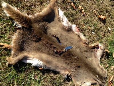 deer skin & knives - 1.jpg