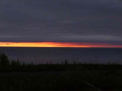 P1000328.jpg