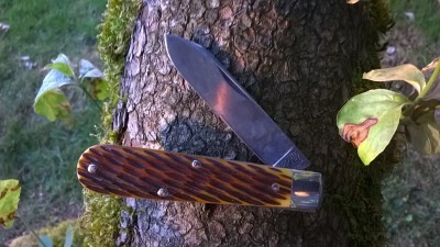 WP_20180725_011.jpg
