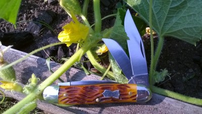 WP_20180730_036.jpg