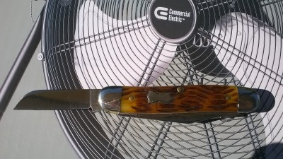 WP_20180726_001.jpg