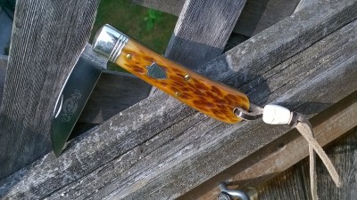 WP_20180816_007.jpg