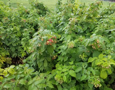 20180819_091620.jpg