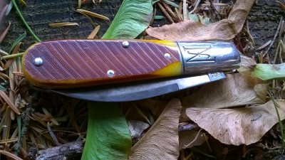 WP_20180814_014.jpg
