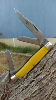 IMAG0510.jpg