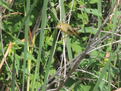 DSCN4811.JPG