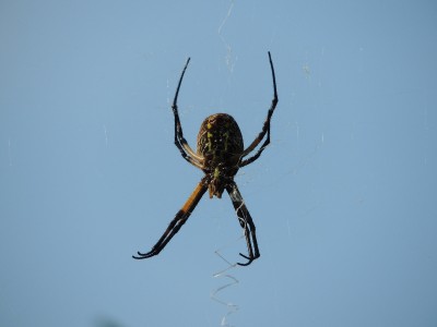 DSCN4816.JPG